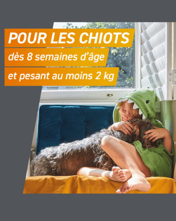 comprimé administré au chiot dès 8 semaines