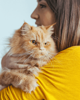 chat dans les bras d'une femme
