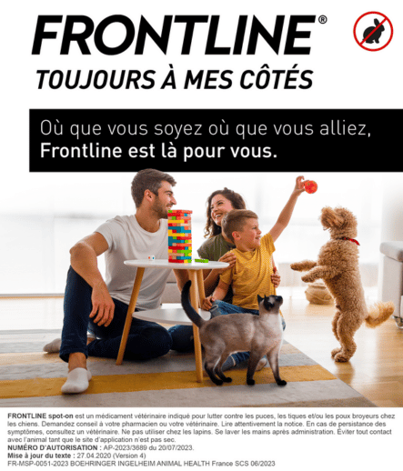 Spot on chien Mise en situation