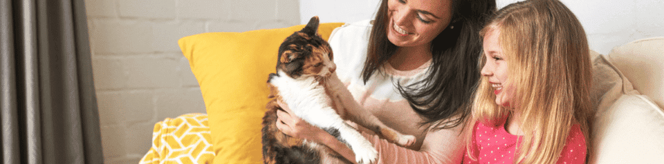 famille avec un chat
