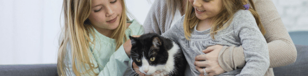 chat entouré de deux petites filles