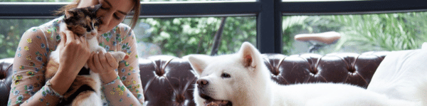 chat et chien sur un canapé