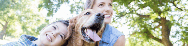 chien tirant la langue