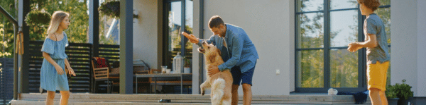 parasites maladies leishmaniose symptomes leishmaniose - produit anti tique anti puce chien