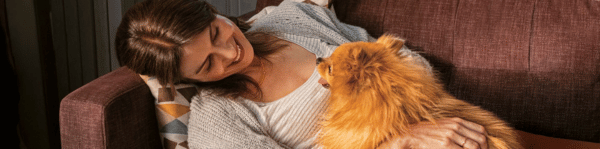 maladies parasites dirofilariose hero