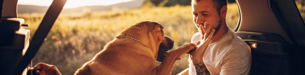 chien parasites puce