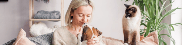 parasites maladies dirofilariose