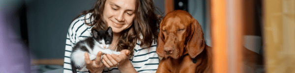 parasites maladies piroplasmose