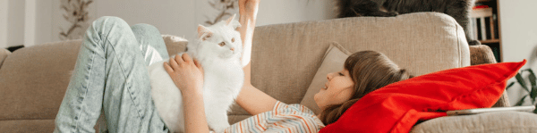 parasites chats chatons