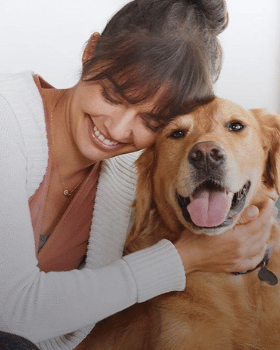 frontline antiparasitaire chien chat mobile