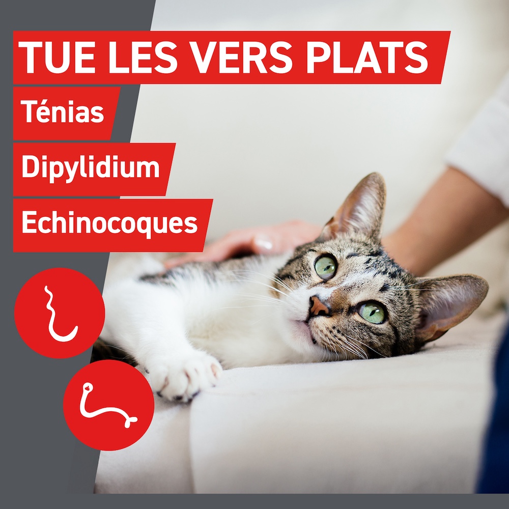 Tue les vers plats