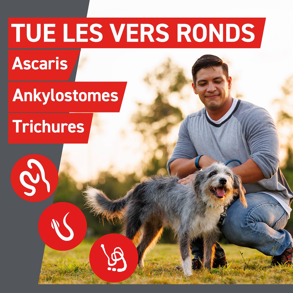 Tue les vers ronds