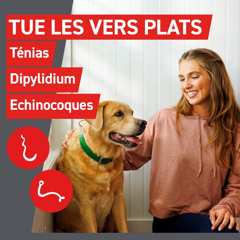 Tue les vers plats