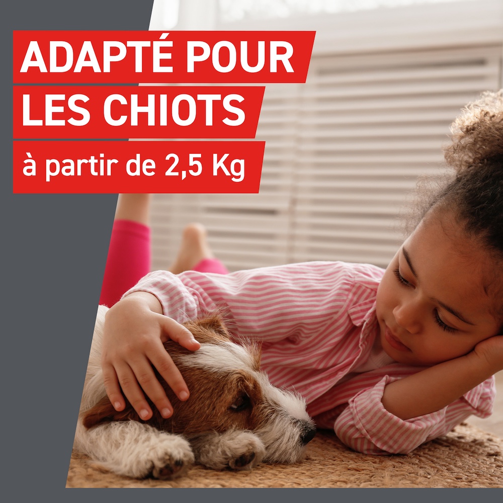 Adapté pour les chiots à partir de 2,5kg
