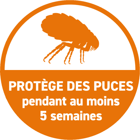 FRONTPRO produit anti puce chien
