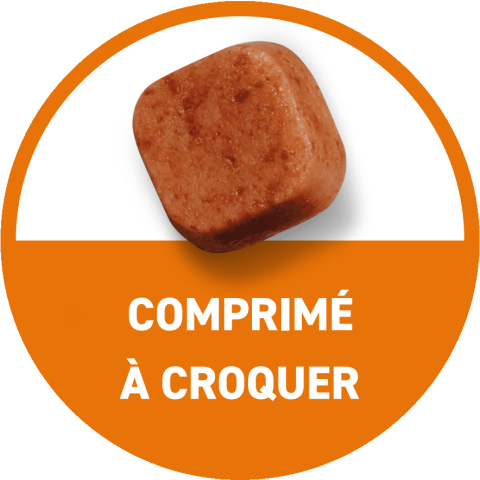 FRONTPRO cachet antiparasitaire chien