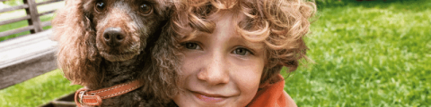 chien et enfant collés