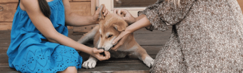 chien entouré d'une femme et sa fille